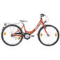Passat Super Star 300 im Angebot