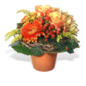Blumenstrauß Alles wird gut im Angebot
