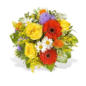 Blumenstrauß Flowermail im Angebot