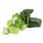 Kohlrabi im Angebot