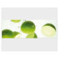mantiburi Leinwandbild No.41 Swimming Limes 120x40cm im Angebot