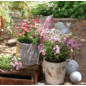 Blumentopf im Angebot