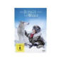Drama - Der Junge und der Wolf DVD im Angebot