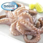 Kraken im Angebot
