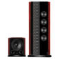Swans F2.3B im Angebot