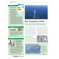 Energiesparratgeber