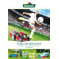 Dehner-Prospekt "Rasenmäher und Zubehör Katalog 2013"