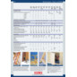 Treppenkatalog